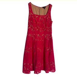 The Limited sleeveless, lace overlay dress. Size 4.